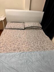 Bishan Loft (D20), Condominium #552312391